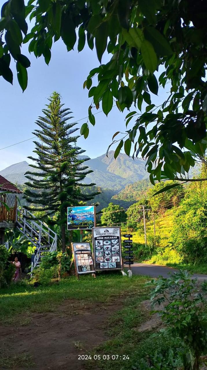 Blue Mountain Cottage Senaru Exterior photo